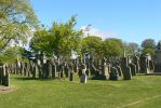 PICTURES/Arbroath Abbey/t_Grave Yard (1).JPG